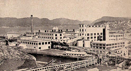 Pulp and Paper Mill
